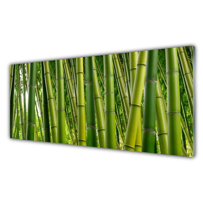 Foto schilderij op glas Bamboo shoots bamboo forest