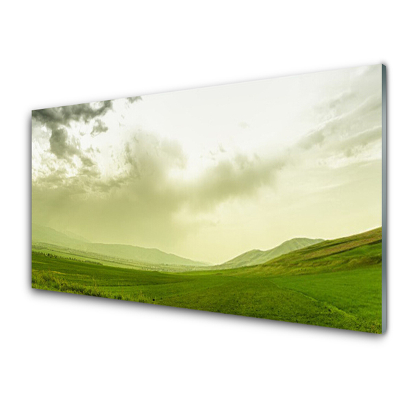 Foto schilderij op glas Nature green meadow view