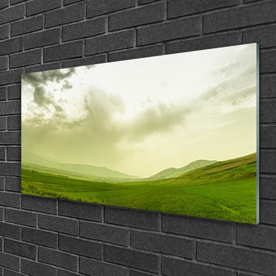 Foto schilderij op glas Nature green meadow view