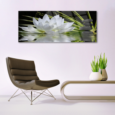 Foto schilderij op glas Water lily bloemen