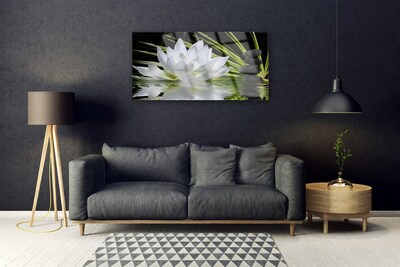 Foto schilderij op glas Water lily bloemen
