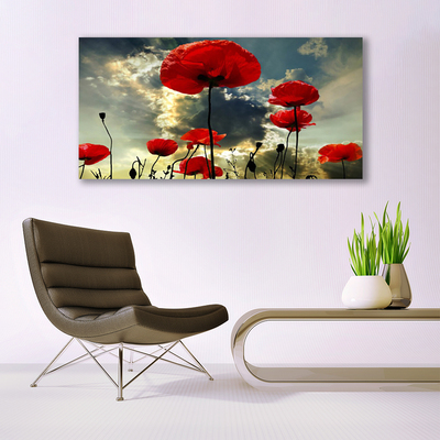 Foto schilderij op glas Klaprozen bloemen nature plant