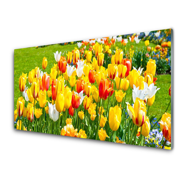 Foto schilderij op glas Tulpen bloemen nature