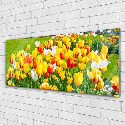 Foto schilderij op glas Tulpen bloemen nature