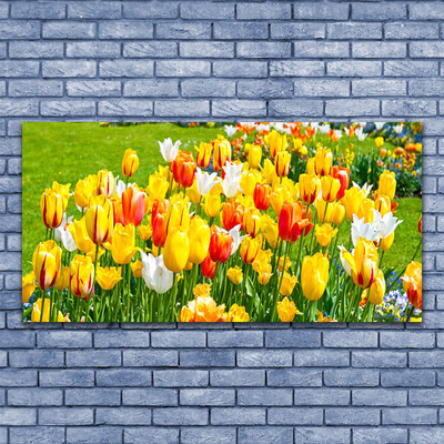 Foto schilderij op glas Tulpen bloemen nature