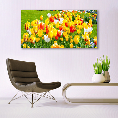 Foto schilderij op glas Tulpen bloemen nature