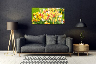 Foto schilderij op glas Tulpen bloemen nature