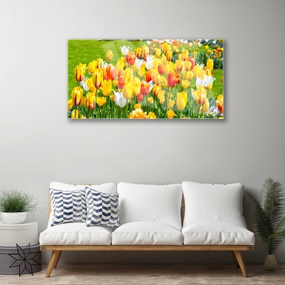 Foto schilderij op glas Tulpen bloemen nature