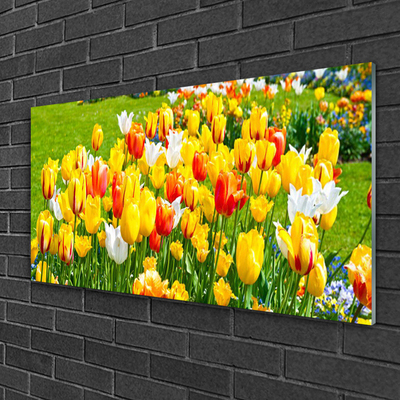 Foto schilderij op glas Tulpen bloemen nature