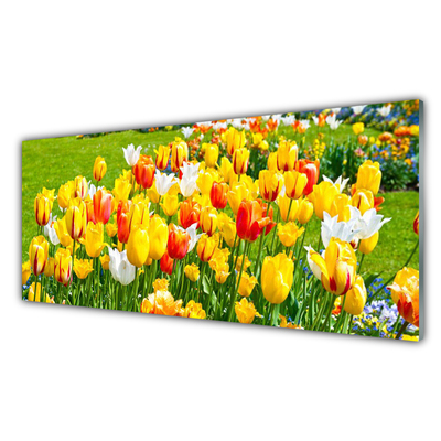 Foto schilderij op glas Tulpen bloemen nature