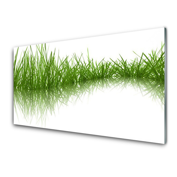 Foto schilderij op glas Grass nature plant