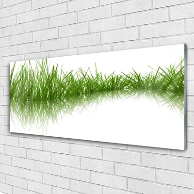 Foto schilderij op glas Grass nature plant