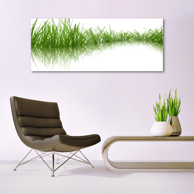 Foto schilderij op glas Grass nature plant