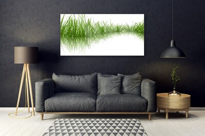 Foto schilderij op glas Grass nature plant