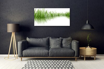 Foto schilderij op glas Grass nature plant