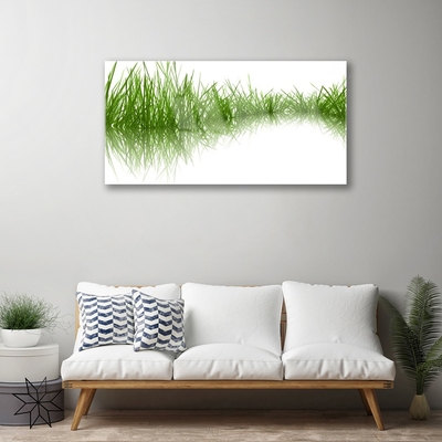 Foto schilderij op glas Grass nature plant