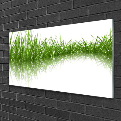 Foto schilderij op glas Grass nature plant