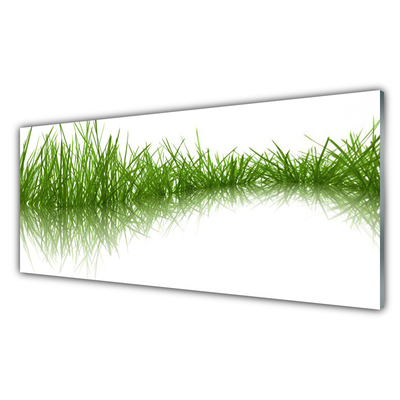 Foto schilderij op glas Grass nature plant