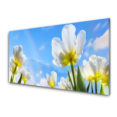 Foto schilderij op glas Planten bloemen tulips