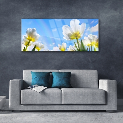 Foto schilderij op glas Planten bloemen tulips