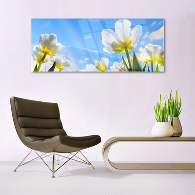 Foto schilderij op glas Planten bloemen tulips