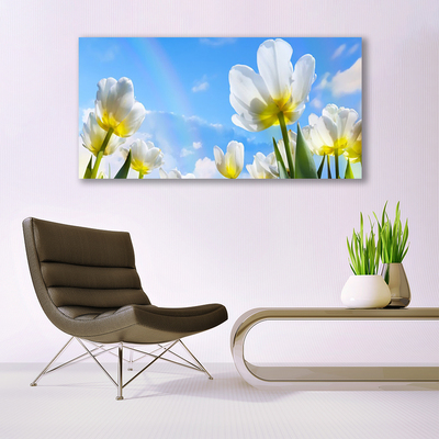 Foto schilderij op glas Planten bloemen tulips
