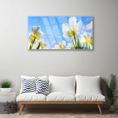 Foto schilderij op glas Planten bloemen tulips