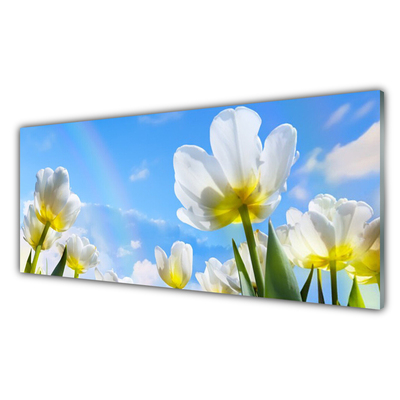 Foto schilderij op glas Planten bloemen tulips
