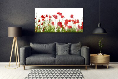 Foto schilderij op glas Klaprozen bloemen nature plant