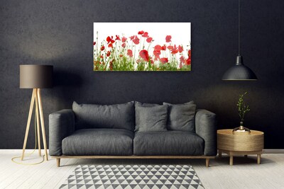 Foto schilderij op glas Klaprozen bloemen nature plant