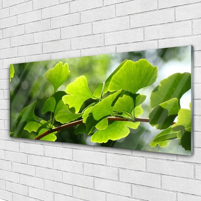 Foto schilderij op glas Leaves nature boomtakken