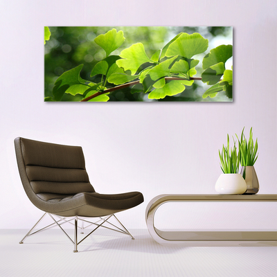 Foto schilderij op glas Leaves nature boomtakken