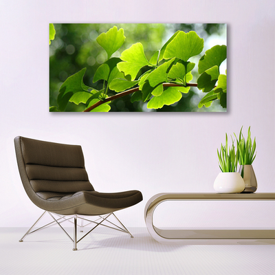 Foto schilderij op glas Leaves nature boomtakken