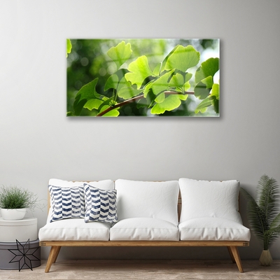 Foto schilderij op glas Leaves nature boomtakken