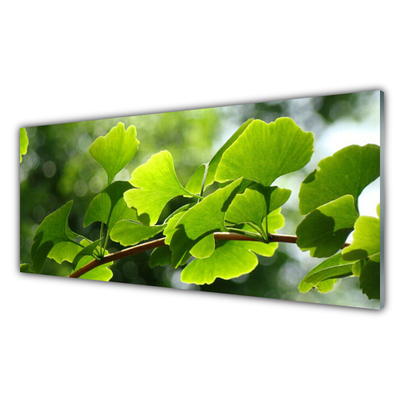 Foto schilderij op glas Leaves nature boomtakken