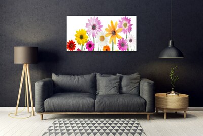 Foto schilderij op glas Gekleurde bloemen nature