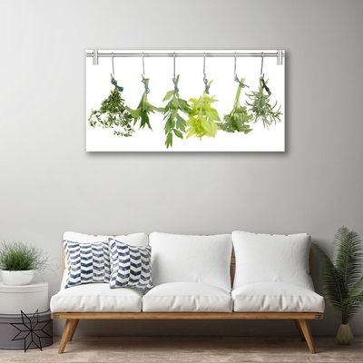 Foto schilderij op glas Leaves nature herbs