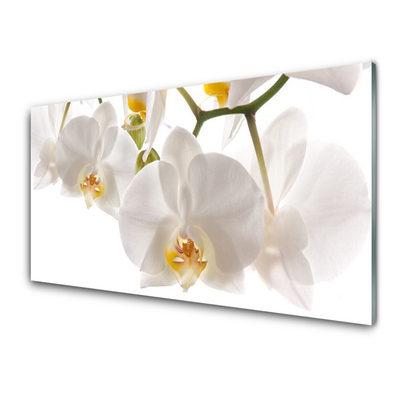 Foto schilderij op glas Orchideebloemen nature