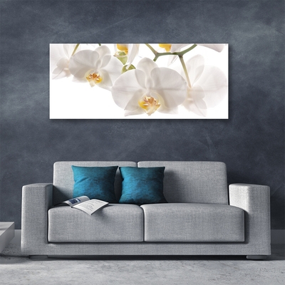 Foto schilderij op glas Orchideebloemen nature