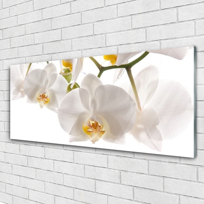 Foto schilderij op glas Orchideebloemen nature