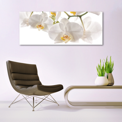 Foto schilderij op glas Orchideebloemen nature