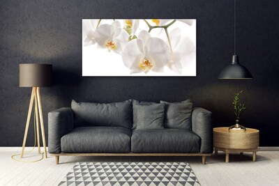 Foto schilderij op glas Orchideebloemen nature