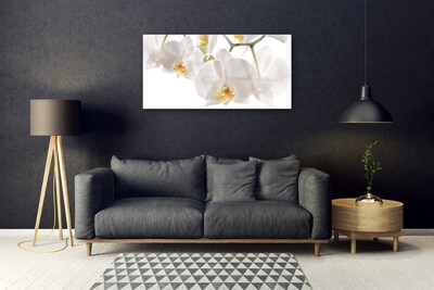 Foto schilderij op glas Orchideebloemen nature