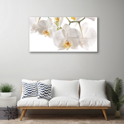 Foto schilderij op glas Orchideebloemen nature