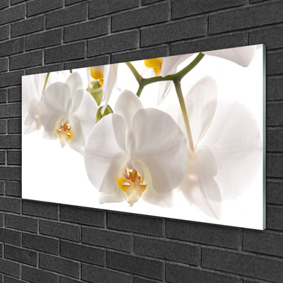 Foto schilderij op glas Orchideebloemen nature