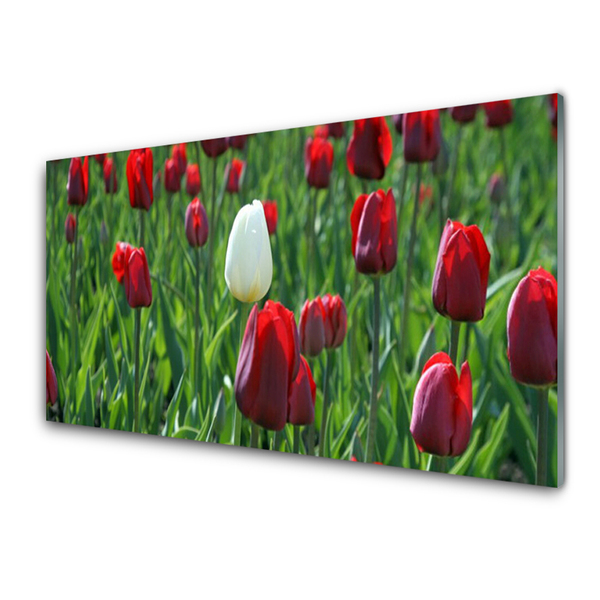 Foto schilderij op glas Tulpen bloemen nature