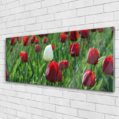 Foto schilderij op glas Tulpen bloemen nature