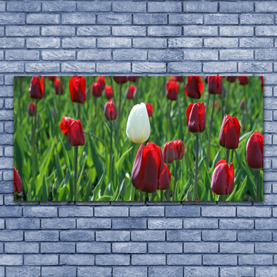 Foto schilderij op glas Tulpen bloemen nature