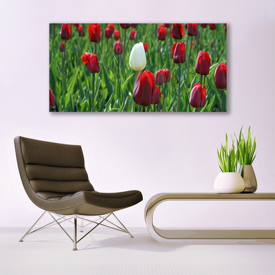 Foto schilderij op glas Tulpen bloemen nature