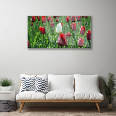 Foto schilderij op glas Tulpen bloemen nature